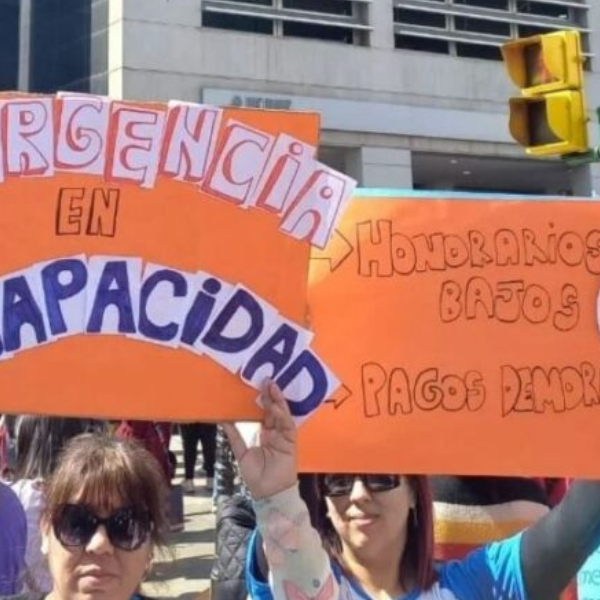 Críticas de familias salteña al freno de Milei a la Ley de Emergencia en Discapacidad: 