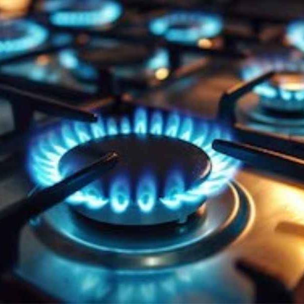 Por las medidas de Nación temen que la falta de gas en invierno genere despidos y parálisis en fábricas de Salta