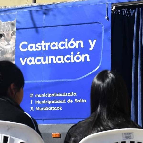 ¡Cuiden a sus mascotas! El Móvil de Castración atenderá gartuitamente en barrio Mosconi