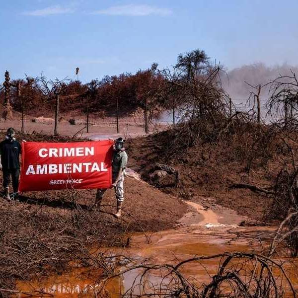 Advierten que un pozo petrolero en el norte de Salta sigue afectando el suelo, el agua, la fauna y el bosque nativo