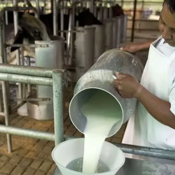 En plena crisis del sector lácteo argentino, la leche lidera inflación en tercera semana de marzo
