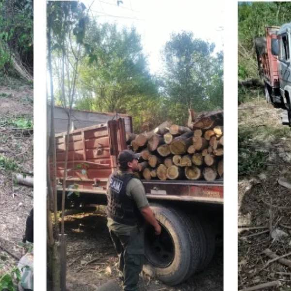Multa y retención del camión: Control ambiental del Municipio detectó un desmonte irregular en barrio 14 de Mayo