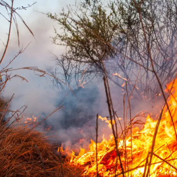 Los incendios forestales arrasaron 2.400 hectáreas en la ciudad y el interior de Salta