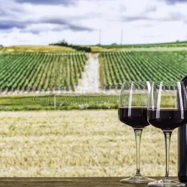 Fraude Vinícola: Imputan a 3 personas por querer apoderarse de 57.000 Litros de Vino en Cafayate
