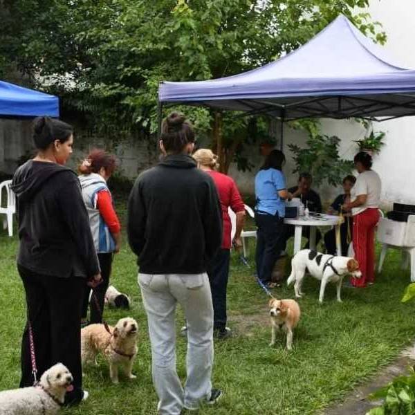La campaña de vacunación antirrábica se desarrollará a partir del 6 de abril en barrios de la zona oeste de la ciudad
