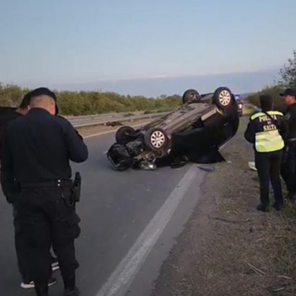 Animales sueltos vuelven a causar un accidente grave en una ruta de Salta