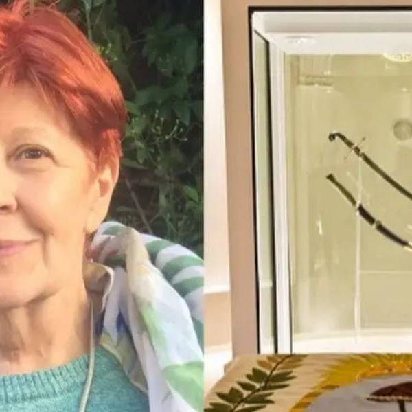 Por estar en desacuerdo con la medida renunció la directora del Museo Histórico Nacional por el traslado del sable corvo de San Martín