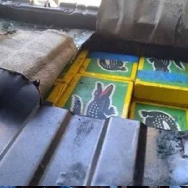 Confirman la detención de la médica de Gendarmería atrapada en Salta con 66 kilos de cocaína