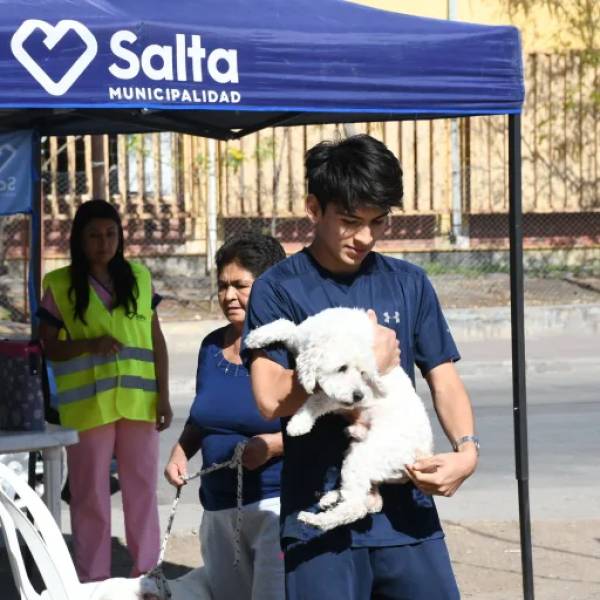 La otra semana habrá vacunación antirrábica gratuita en villa Los Sauces  y en los barrios Jesús María y Bicentenario