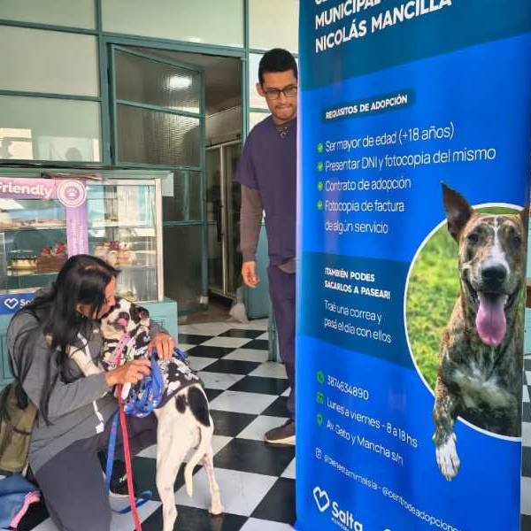 Una segunda oportunidad: La conmovedora jornada donde 5 perritos albergados por la Municipalidad hoy encontraron un hogar