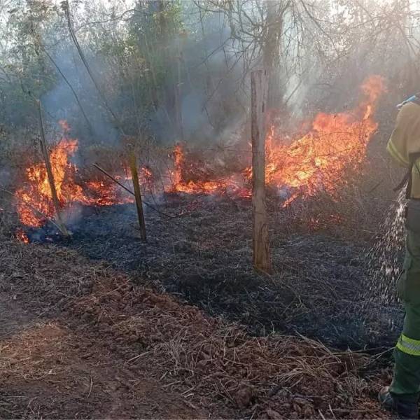Advierten que el índice de riesgo de incendios forestales es muy alto en la ciudad de Salta