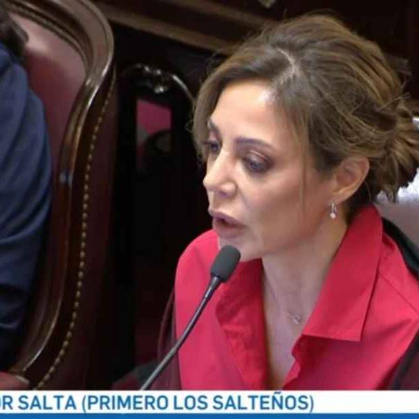 Flavia Royón advirtió que las industrias de Salta podrían tener un corte de gas durante 90 días