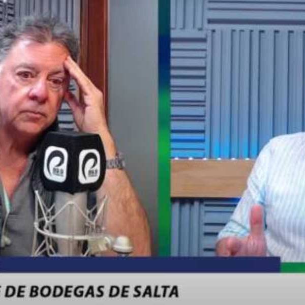 La vitivinicultura salteña en crisis por la presión fiscal y la caída del consumo: 