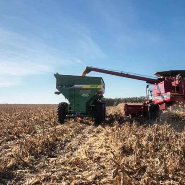 Desesperado por los dólares, Toto Caputo vuelve a bajarle las retenciones al campo