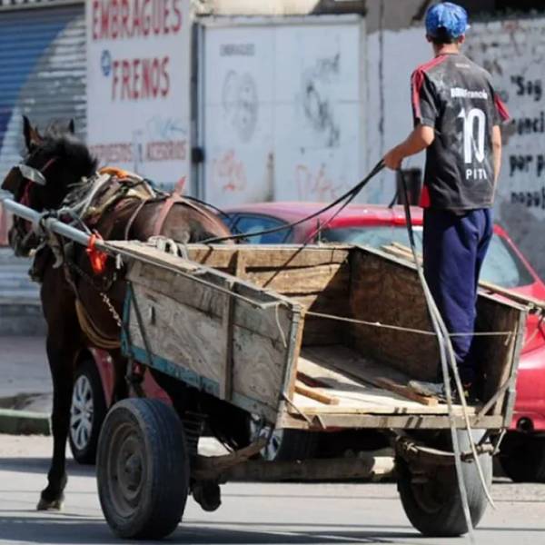 Al igual que la capital salteña, Metán avanza en la eliminación de la tracción a sangre y buscan alternativas para los carreros