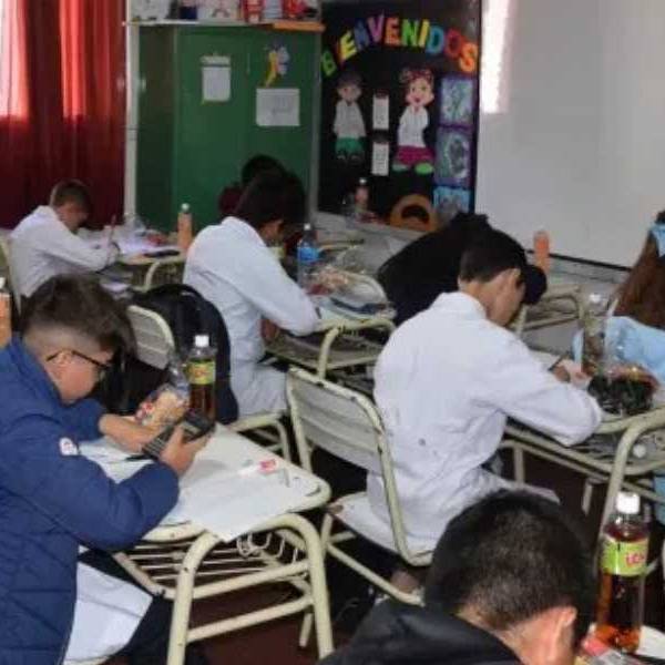 Récord en MateSalta 2026: casi 40 mil estudiantes inscriptos