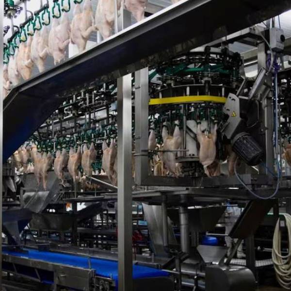 Granja Tres Arroyos despidió a 250 trabajadores de su planta industrial de Entre Ríos