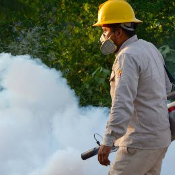 Alerta en la frontera norte: La ciudad boliviana de Bermejo confirma 61 casos de chikungunya y más de 300 personas presentan síntomas