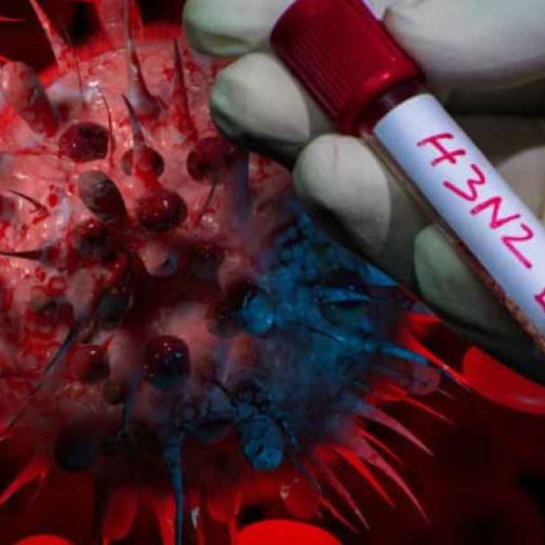 La ANLIS Malbrán detectó tres casos de influenza A (H3N2) subclado K en Argentina