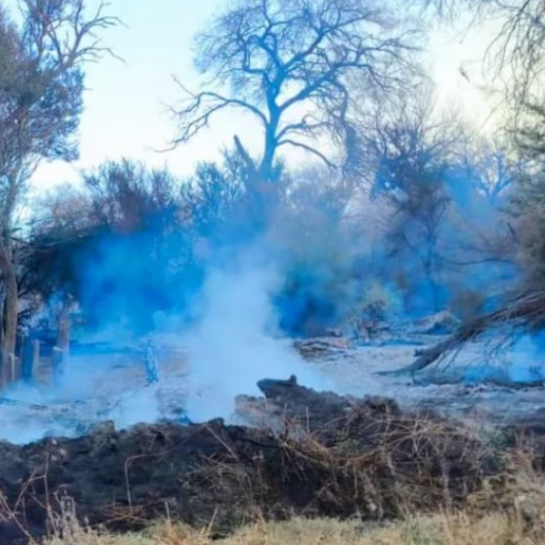 La Justicia imputó a un hombre por dos incendios que arrasaron bosques nativos en Cafayate