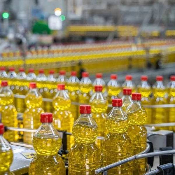 La industria aceitera argentina denuncia adulteraciones en el 10% del mercado de aceite de girasol: 