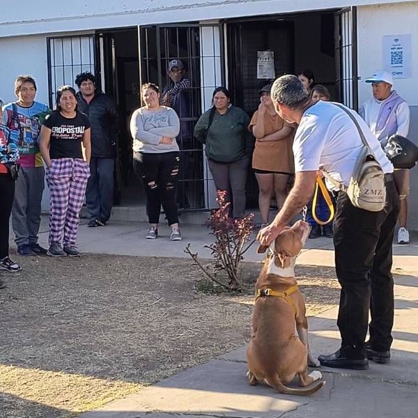 Organizado por la Municipalidad de Salta se viene un taller práctico para prevenir ataques de perros potencialmente peligrosos