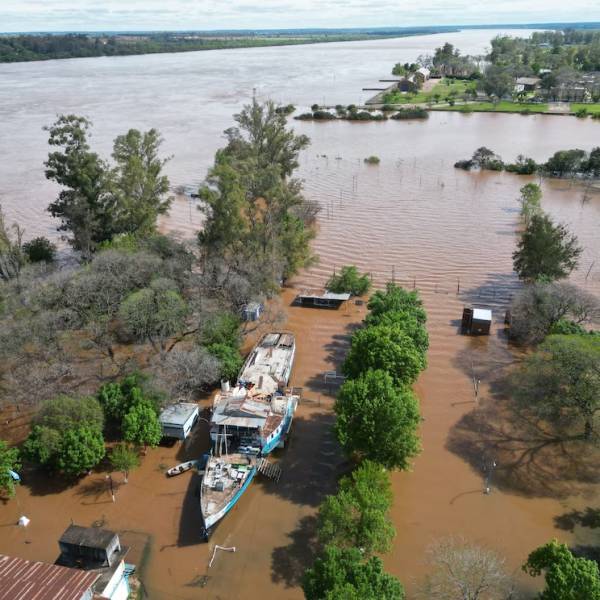 El fenómeno El Niño recién comienza y, según las proyecciones de los especialistas, se intensificará entre octubre y febrero