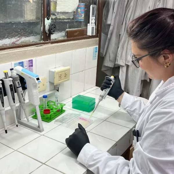 Motosierra: El CONICET sigue sufriendo recortes de fondos, reducción de becarios y menos investigaciones