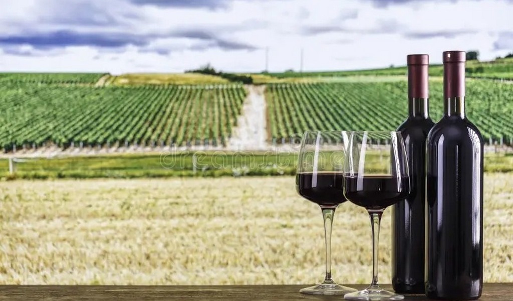 Fraude Vinícola: Imputan a 3 personas por querer apoderarse de 57.000 Litros de Vino en Cafayate