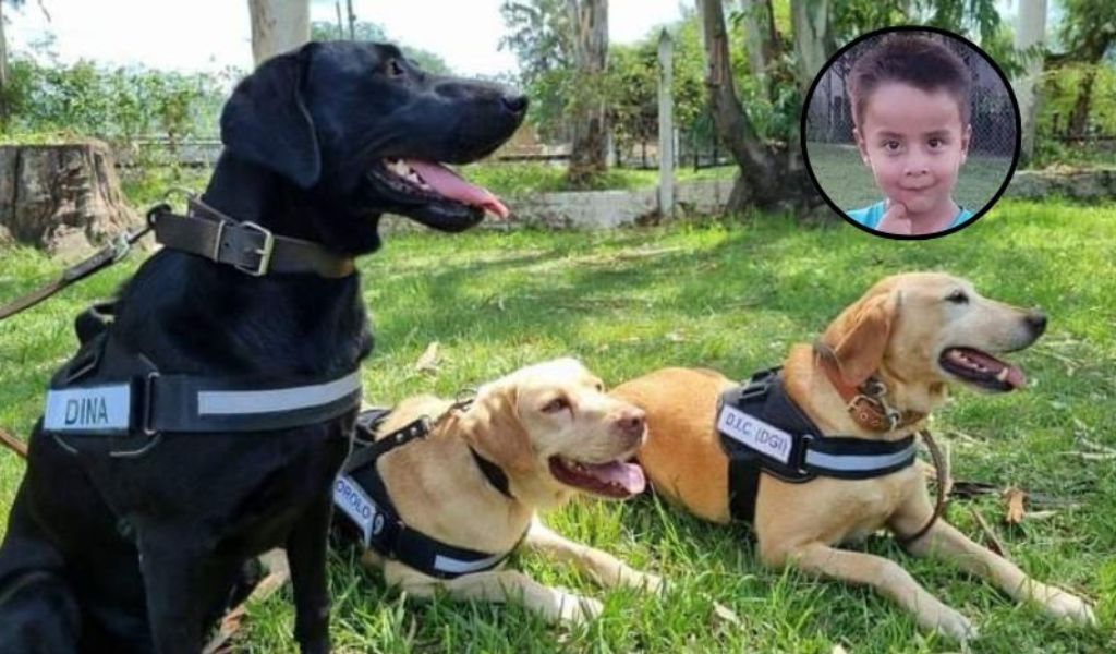 Caso Loan: La defensa de dos detenidos busca anular  lo detectado por los canes de Salta