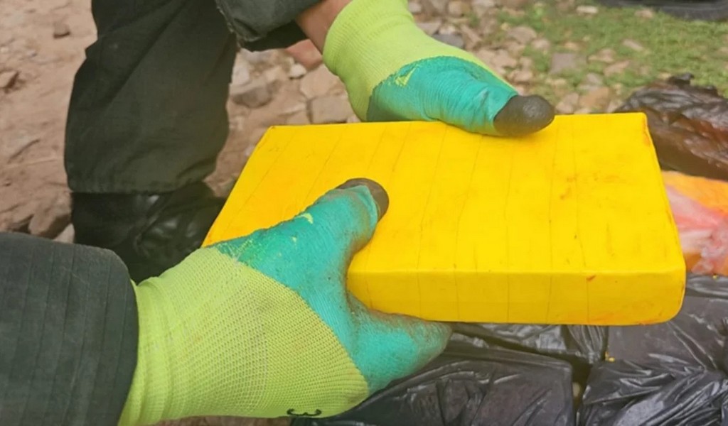 Imputan a un remisero de Salta por el transporte de 30 kg. de cocaína