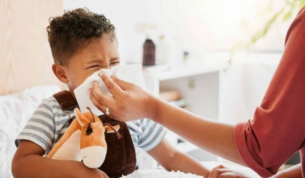 Gripe en Salta: en la última semana se notificaron cerca de 700 casos