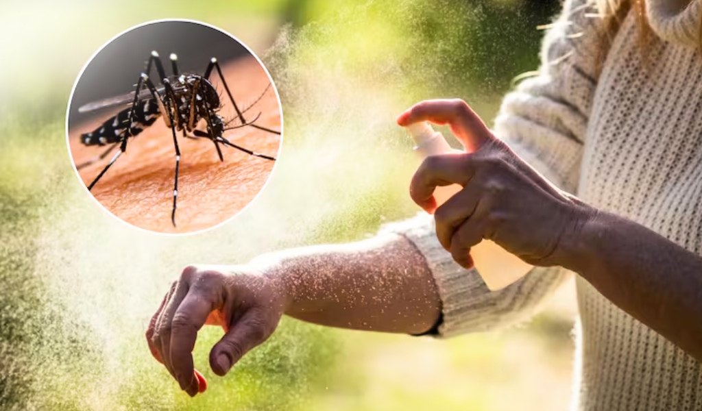 Salta espera el brote de dengue en los primeros meses de 2025
