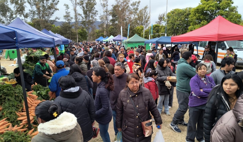 Miles de personas se acercaron a “El mercado en tu barrio” en zona norte