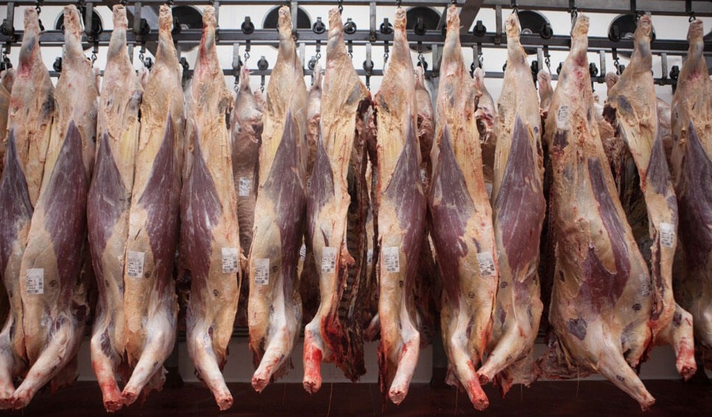 "No más carne desde Argentina”: el mensaje de la secretaria de Agricultura de Trump que causó alarma  en productores