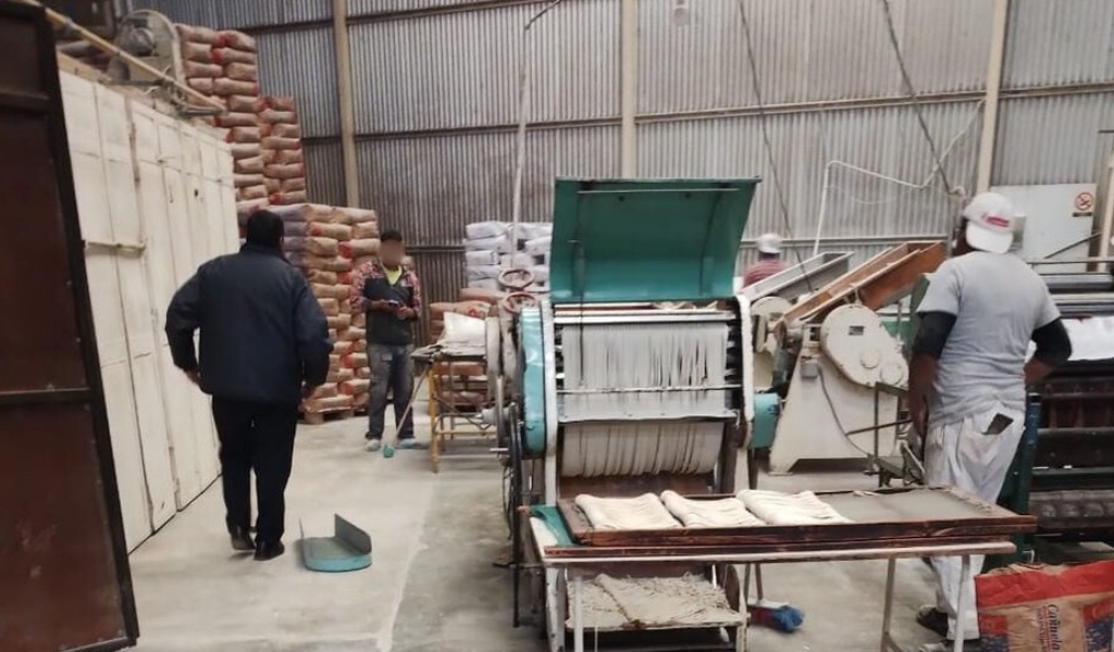 La municipalidad clausuró una reconocida fábrica de pastas secas de Salta. Encontraron heces de roedores y pájaros