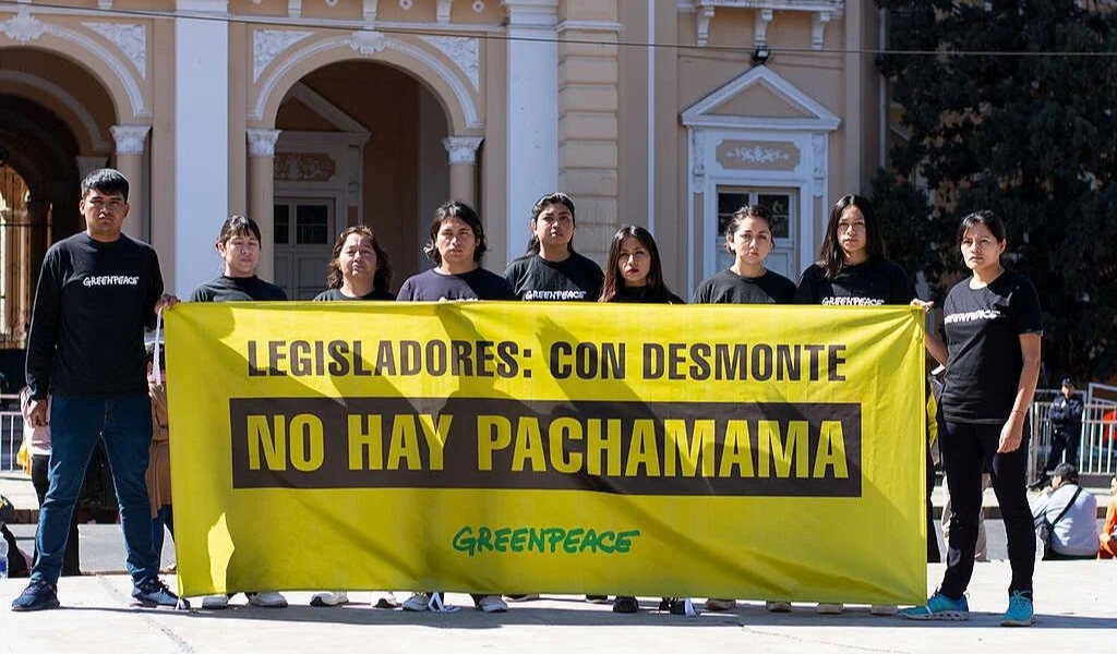Greenpeace protesta en Salta contra un proyecto que permitiría nuevos desmontes: “Con desmontes, no hay Pachamama”