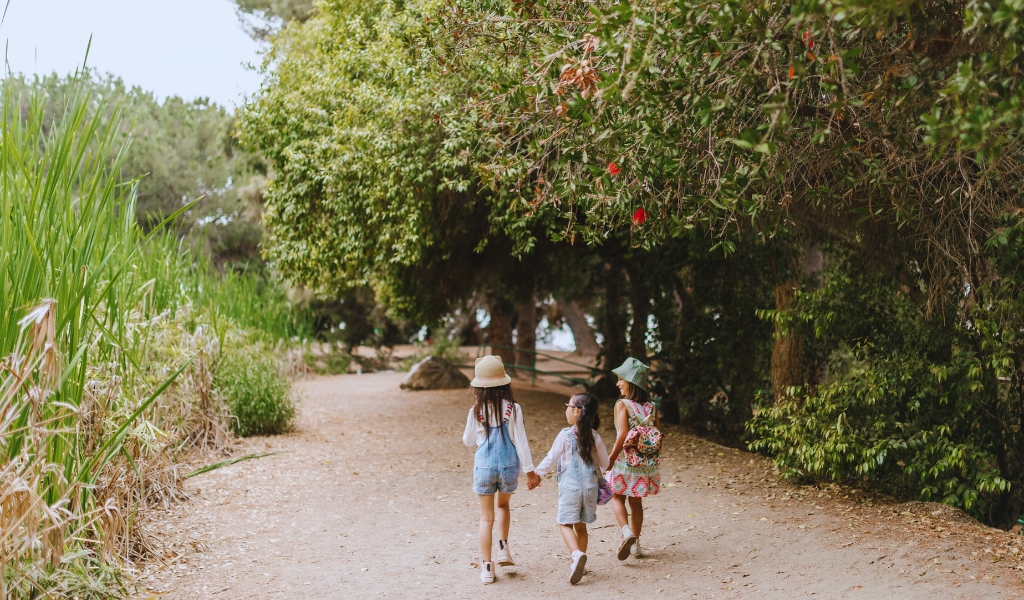 ¡Se necesitan familias! Tres hermanas salteñas esperan un hogar