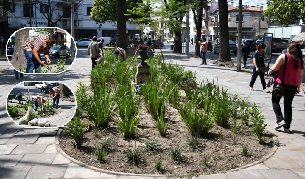 La Plaza Belgrano luce renovada tras los trabajos de parquización