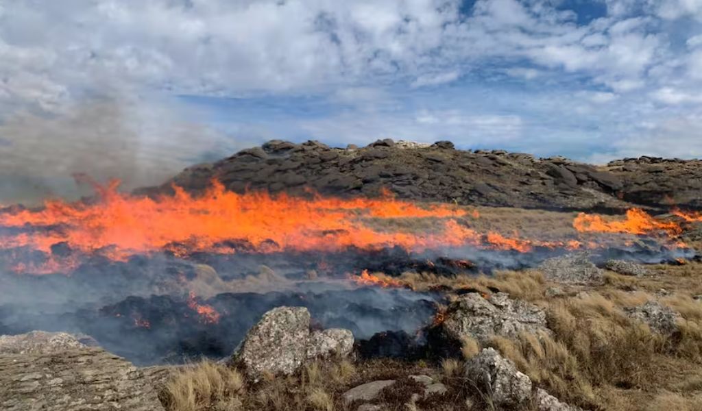Infierno en las Sierras de Córdoba: Feroz incendio amenaza Calamuchita