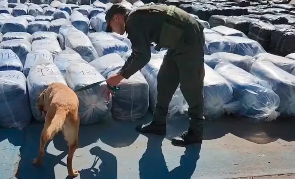 Interceptaron en Córdoba un camión con 7 toneladas de hojas de coca que partió desde Salta