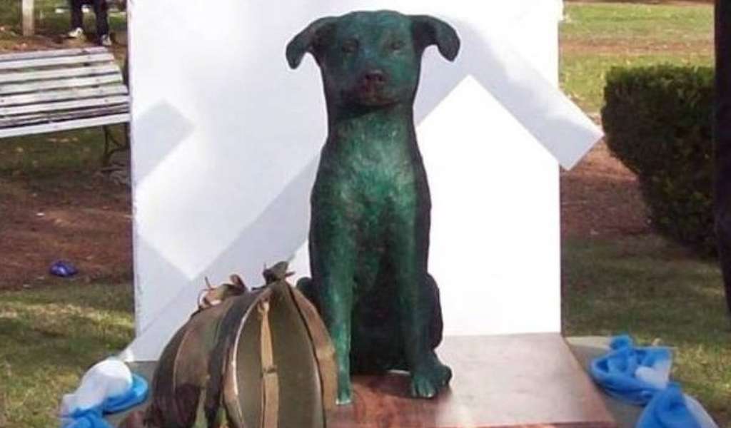La historia de un perro que viajó a Malvinas en 1982, alertó a soldados argentinos durante bombardeos y murió en combate