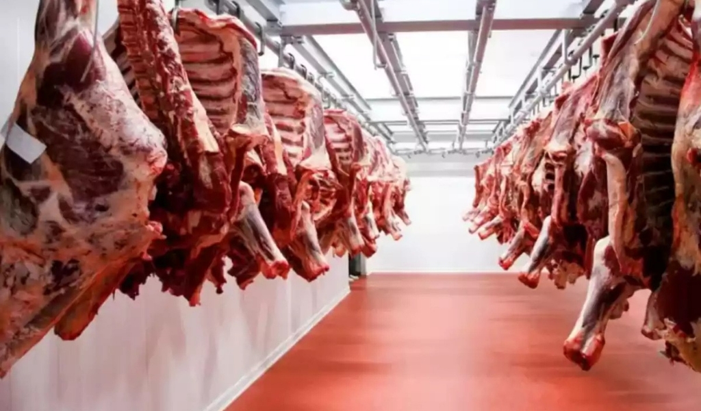Las exportaciones de carne se desplomaron en el primer trimestre de 2025