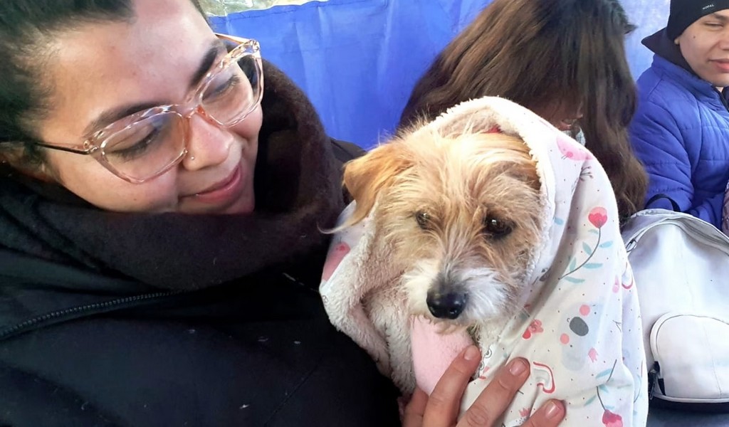 Cuidá a tu mascota: Este viernes habrá una castración masiva en el barrio 20 de Febrero
