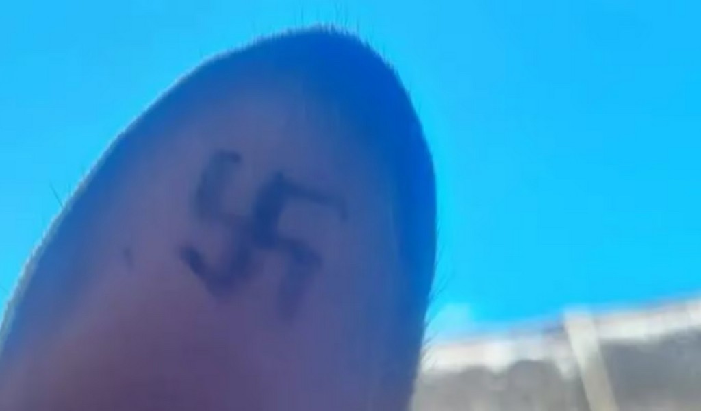 En Río Negro aparecieron perros y gatos callejeros con esvásticas tatuadas en las orejas