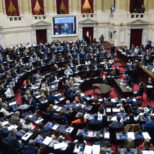 Diputados debatirán el próximo miércoles el proyecto para bajar la edad de imputabilidad a los 14 años