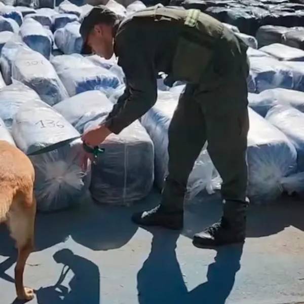 Interceptaron en Córdoba un camión con 7 toneladas de hojas de coca que partió desde Salta