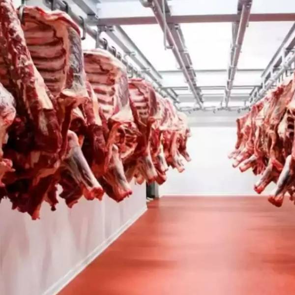 Las exportaciones de carne se desplomaron en el primer trimestre de 2025
