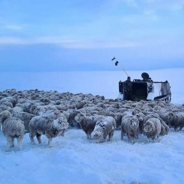 Especialistas advierten que este invierno podría ser el más frío de los últimos 60 años en Argentina